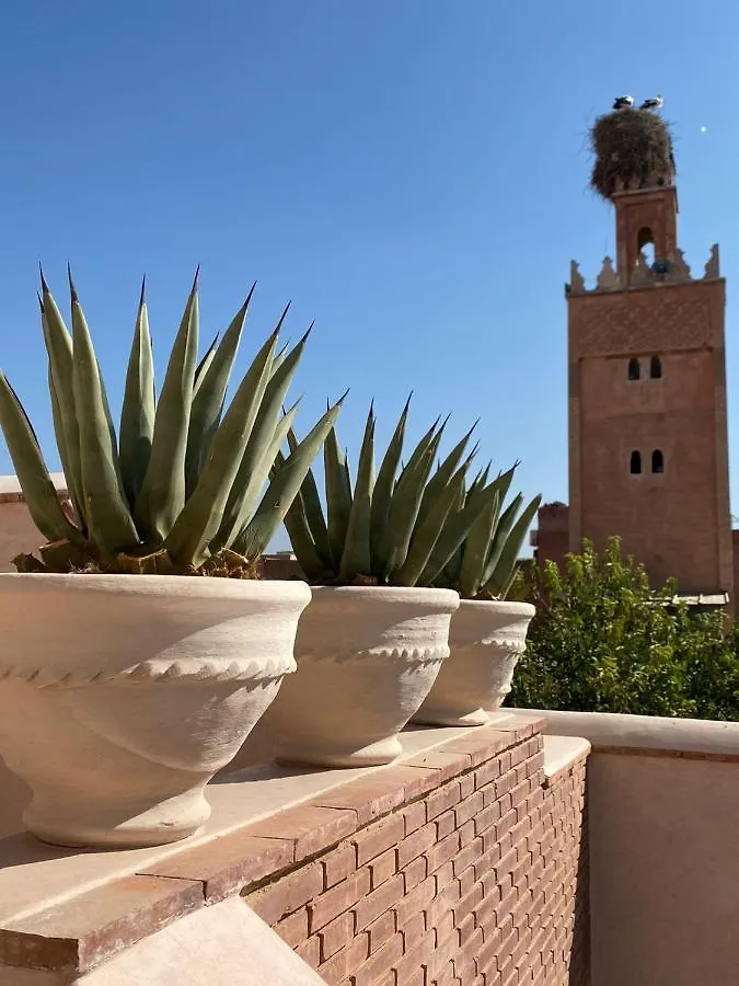 Riad Doum Collection 1 Marakeş 0*,